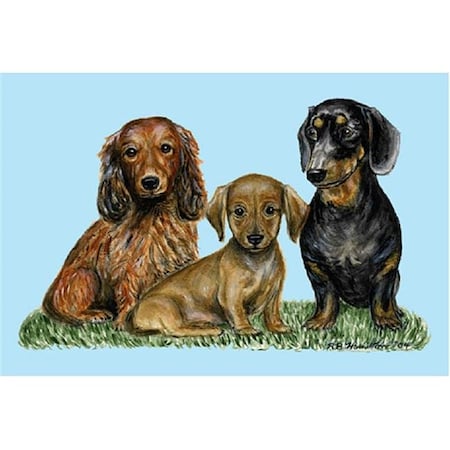 Betsy Drake DM074 Dachshunds Door Mat 18x26